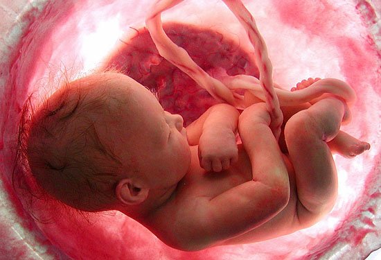 MYTHS OF PREGNANCY KAPUT! - oneworldnews