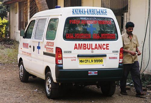 Ambulance4