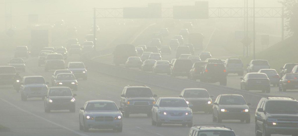 Automobiles, trains, planes the top carbon polluters