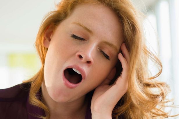 Longer you yawn, bigger your brain: Study