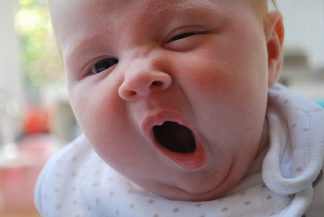 Longer you yawn, bigger your brain: Study