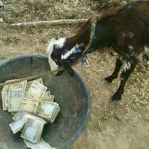 Notes of 500 and 1000 are ban: Black Money menace will be uprooted now