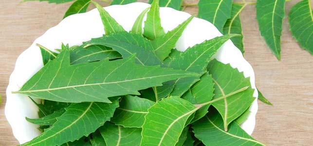 Here are few natural remedies to control hair fall