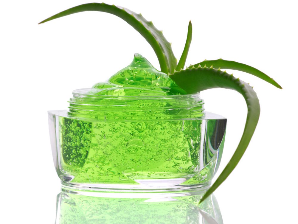 Health secrets of Aloe Vera: How to reap its benefits? 