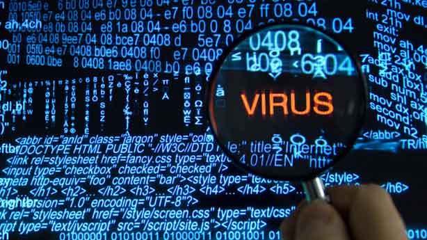 Did you know five new virus variants are discovered every second?
