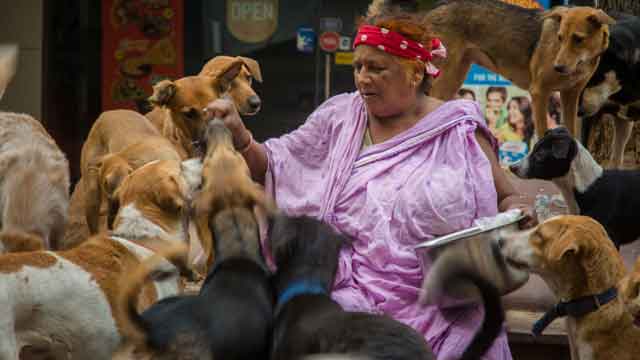 Dog lady of Delhi