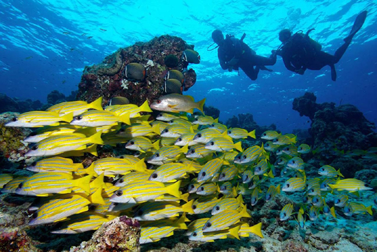Best Place for Scuba Diving