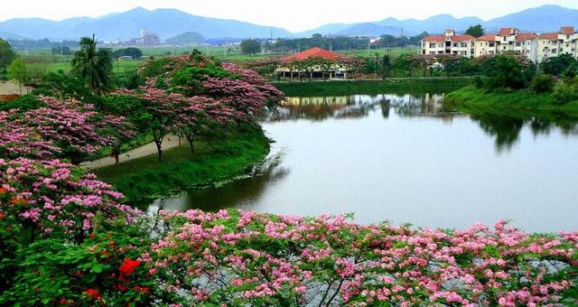Here is why you should travel Guwahati once in a lifetime