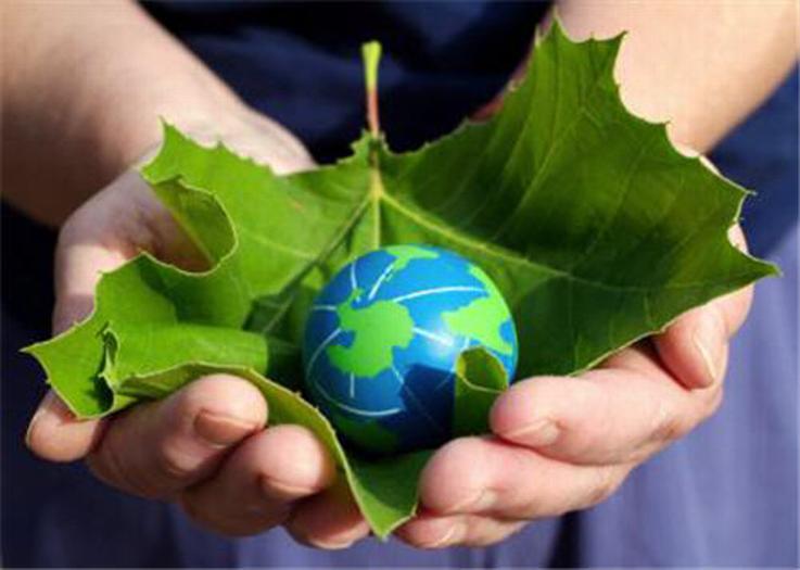 World Environment Day