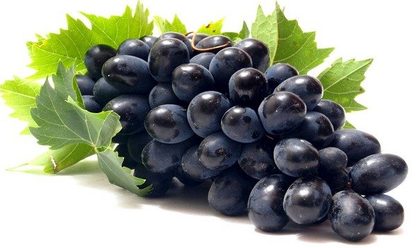 Health Alert: Do You Know The Benefits Of Black Grapes?