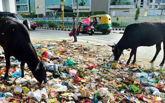 Waste in Delhi