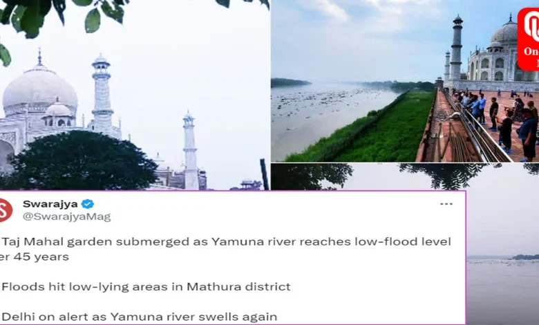 1st Time in 45 Years Yamuna Flood Reaches Taj Wall