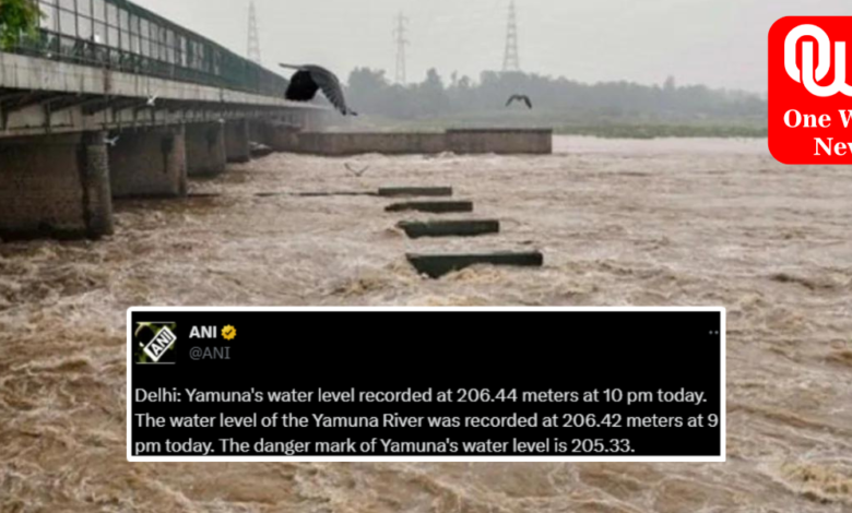 Yamuna Continues To Flow Over Danger Mark At 206.56 Metres