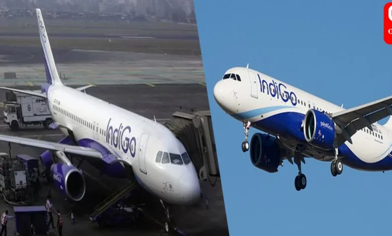 Delhi-bound IndiGo flight hit by bird, makes emergency landing in Bhubaneswar