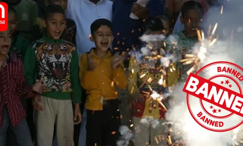 Delhi government bans burning, selling of firecrackers this Diwali