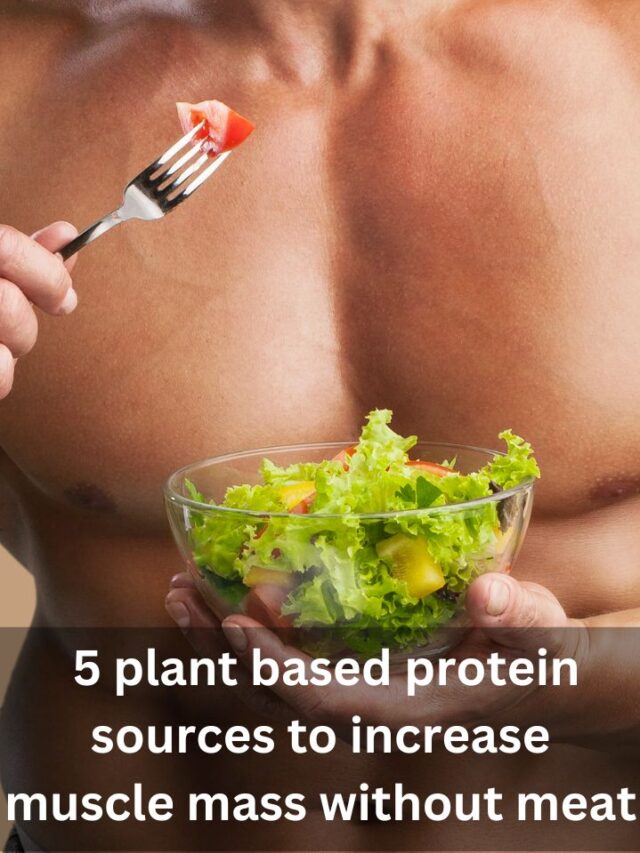 5 plant based protein sources to increase muscle mass without meat