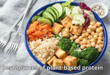 plant based protein