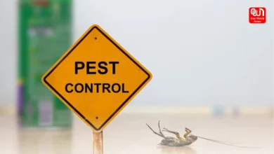 Emergency Pest Control