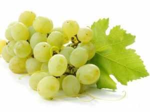 Juicy Grapes are Healthy!