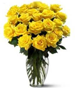 Flower of Friendship Day-The Yellow Rose