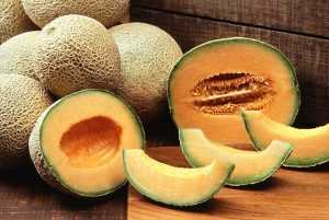 Healthy Cantaloupes or Muskmelons