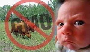 Avoid Eating GMO Food Products