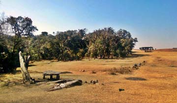 The Mawphlang Sacred Grove