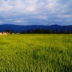 Back on the Growth Track - one world news