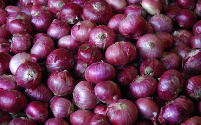 onion price in india