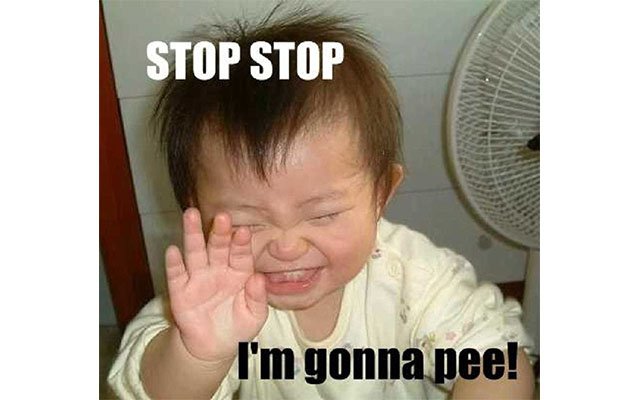 8 strange laws that will make you laugh out loud!