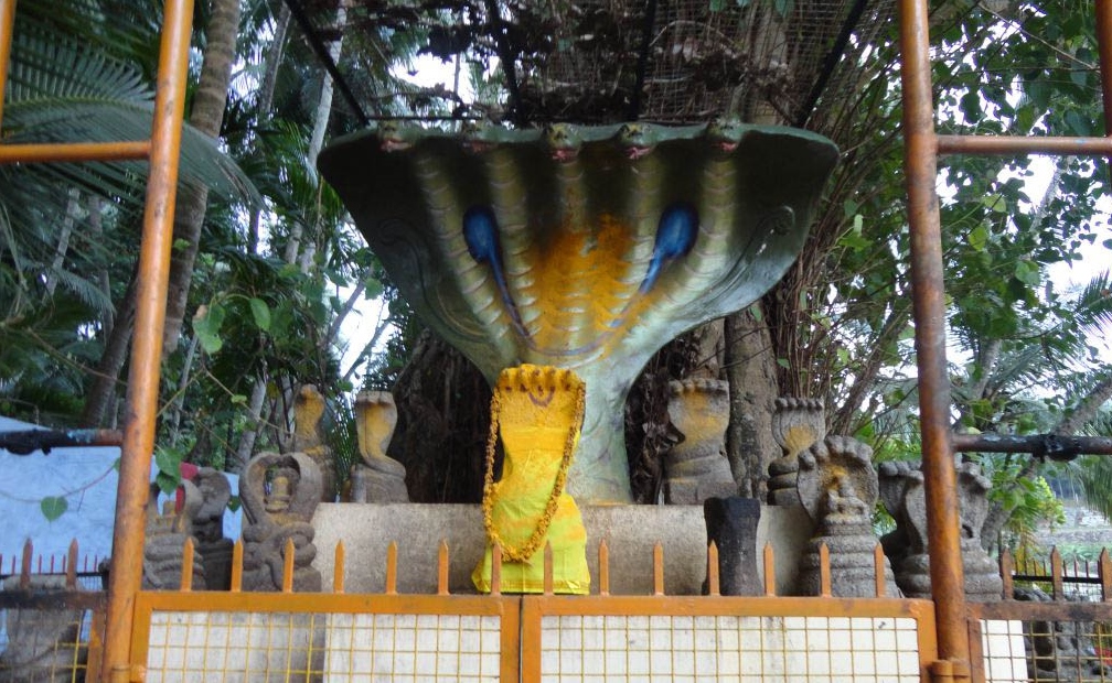 India’s Snake Temple