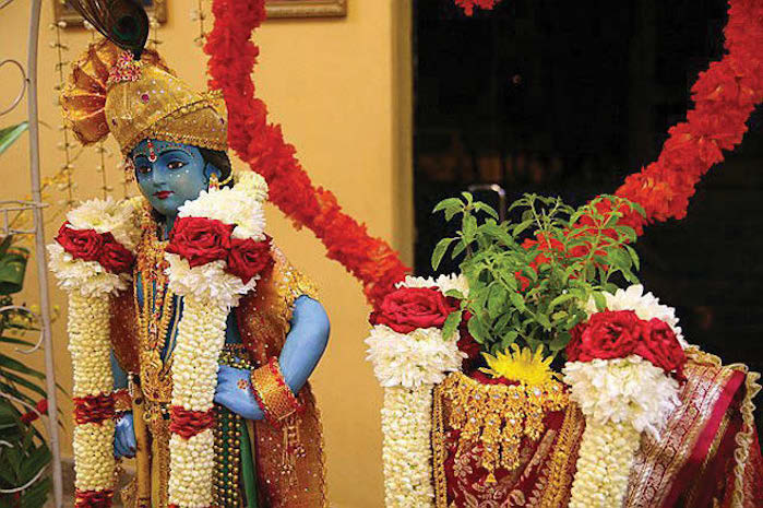 Hindu wedding season officially begins with Tulsi Vivah today