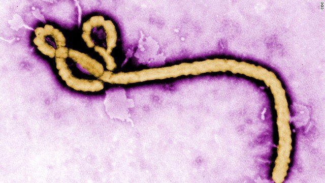 Guinea declared nation free of Ebola virus