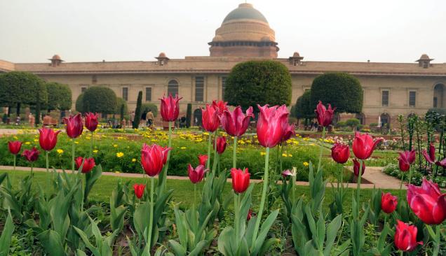 Mughal Garden to open for General Public tomorrow!