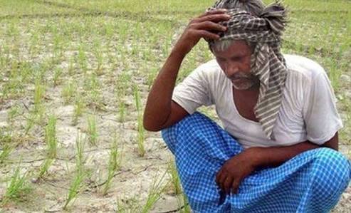 Increasing farmers’ suicides in Karnataka!