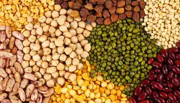 Indian Government releases 160 Thousand Tons of seized pulses