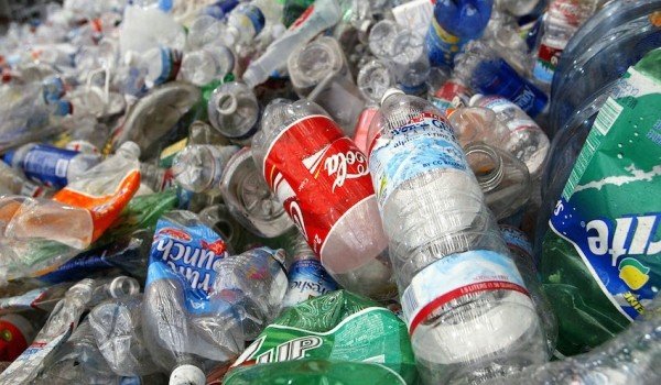 Scientists have discovered a 'Bacteria' that can eat and digest Plastic