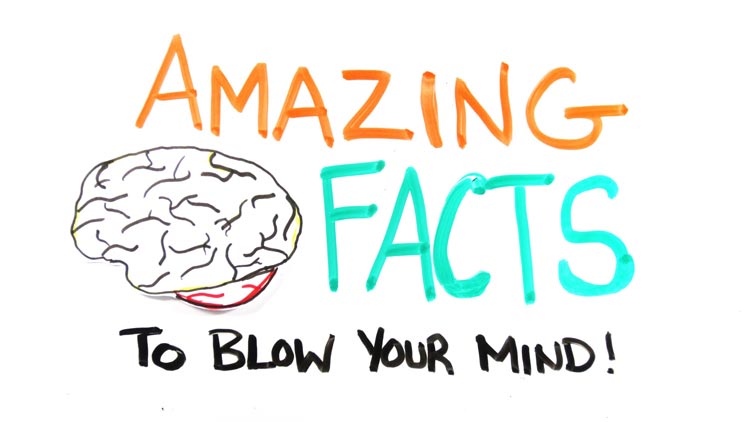 Brain Facts that will surprise you