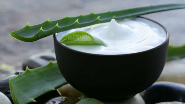 Health secrets of Aloe Vera: How to reap its benefits?