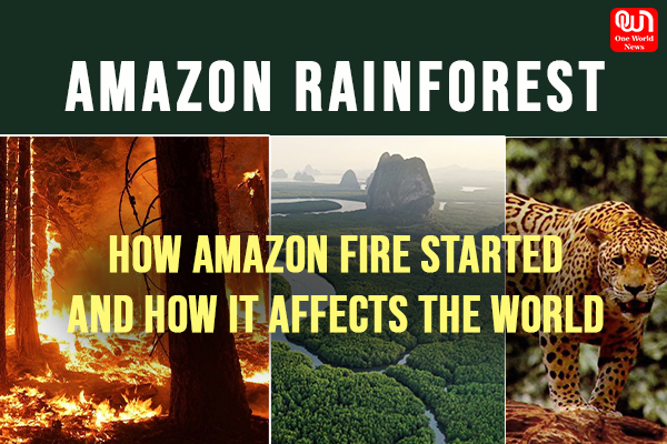 Amazon rainforest fire