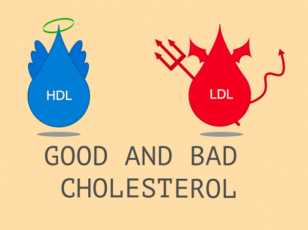 Cholesterol