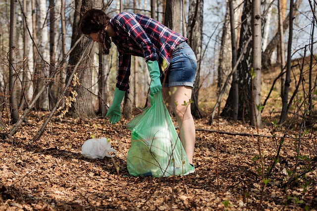 what is plogging