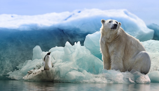 antarctica melting ice