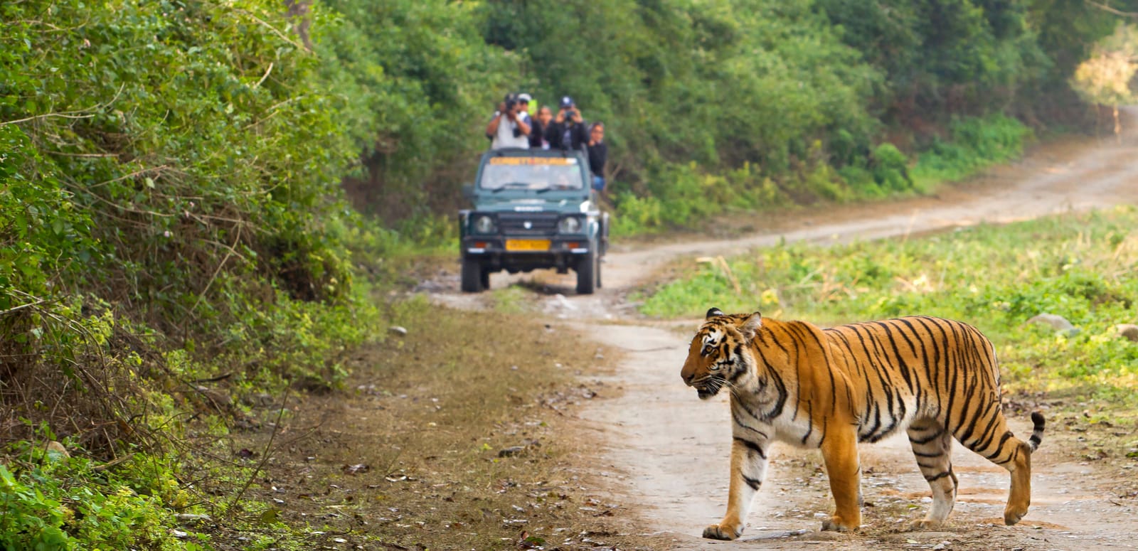 best time to visit jim corbett