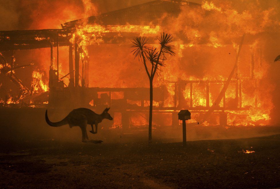 Australia bushfire