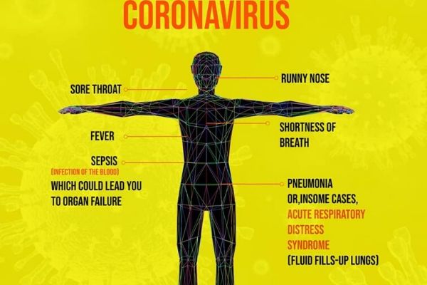 coronavirus in india