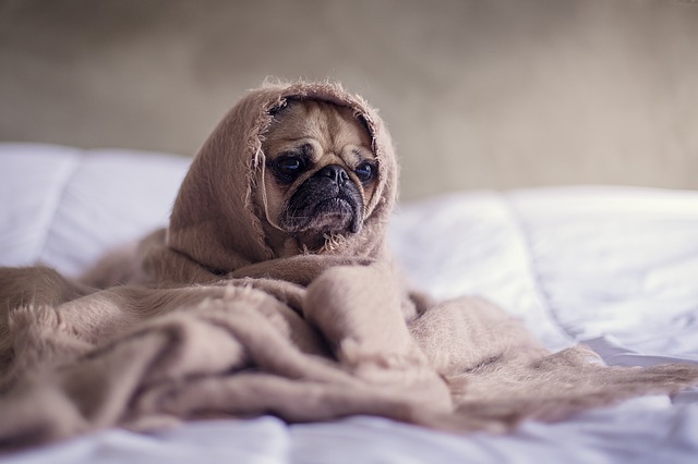 monday morning
