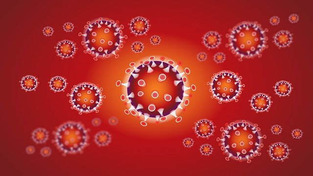 who is responsible for coronavirus