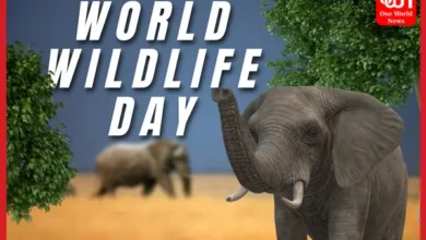 world wildlife day 2023