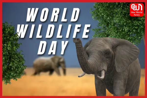 world wildlife day 2023